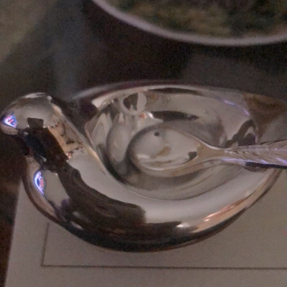 Brand New Silver Pottery Barn Dove  Salt Cellar